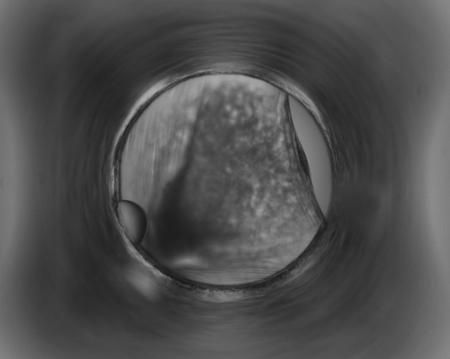 X0000084541095200703231709