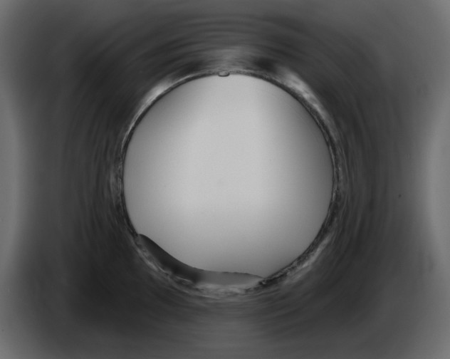 X0000084541097200703231709