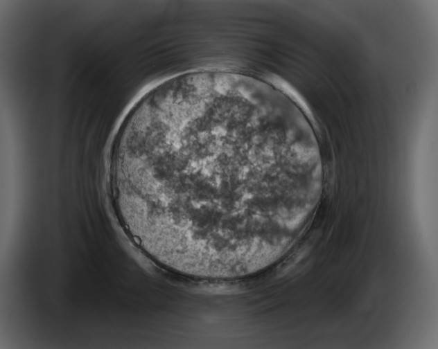 X0000084541099200703231709