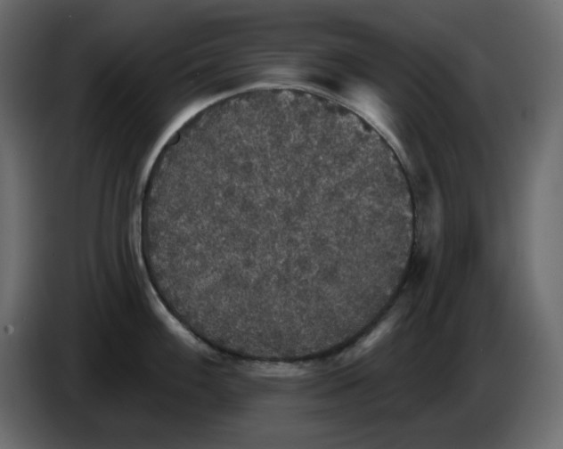 X0000084541100200703231709