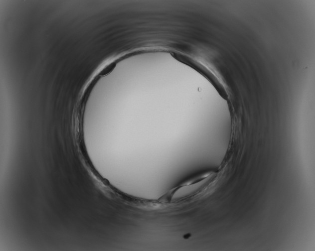 X0000084541101200703231709