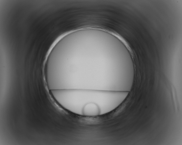 X0000084541102200703231709