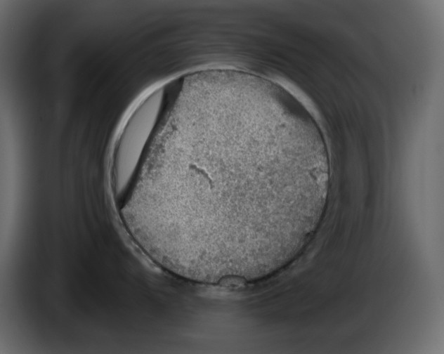 X0000084541104200703231709