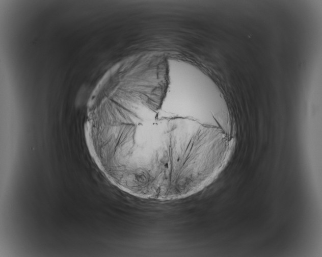 X0000084541105200703231708