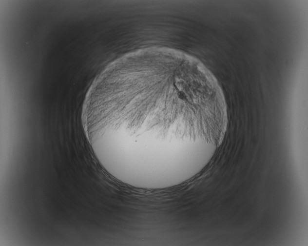 X0000084541106200703231708