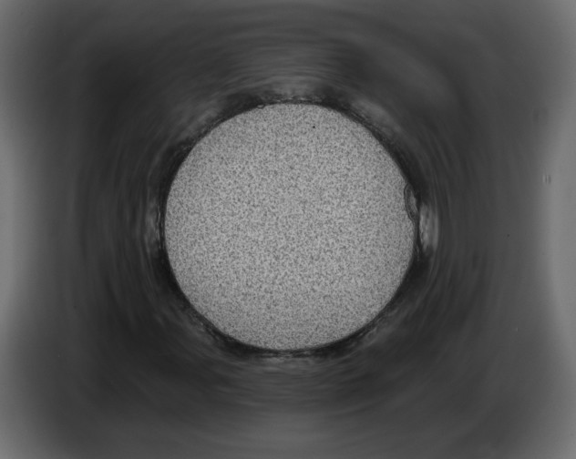 X0000084541107200703231708