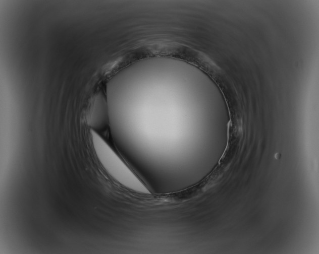 X0000084541108200703231708