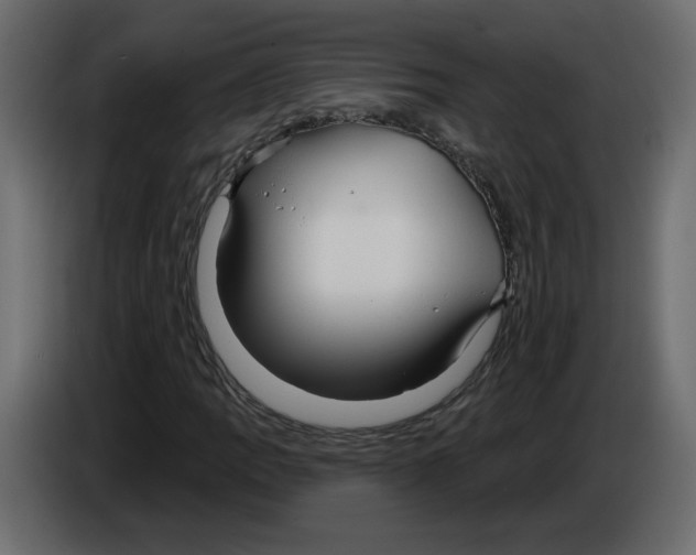 X0000084541109200703231708