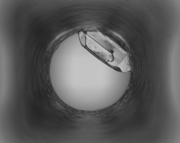 X0000084541112200703231708