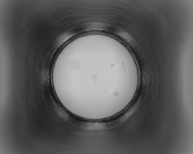 X0000084541113200703231708