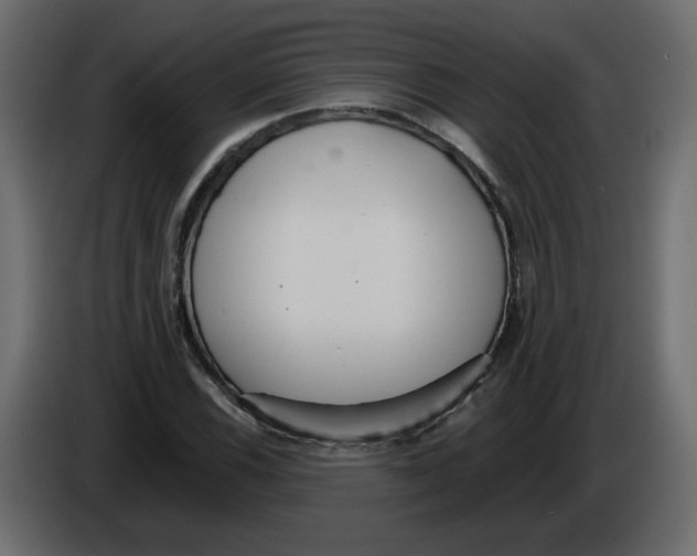 X0000084541116200703231708