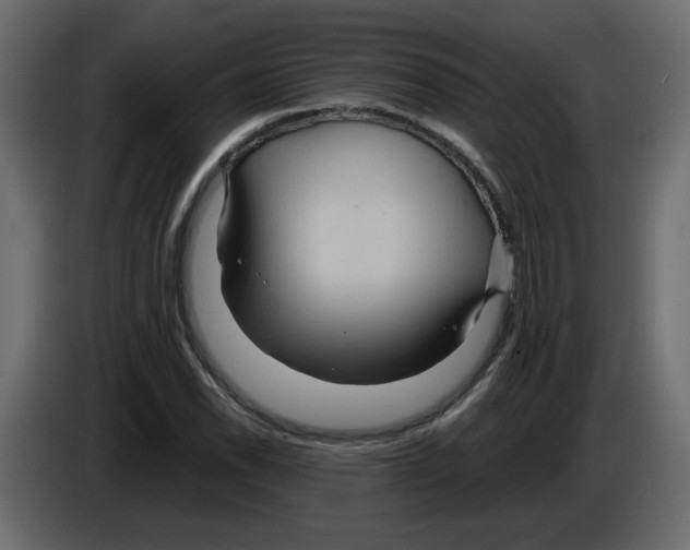 X0000084541118200703231708