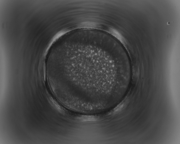 X0000084541123200703231708