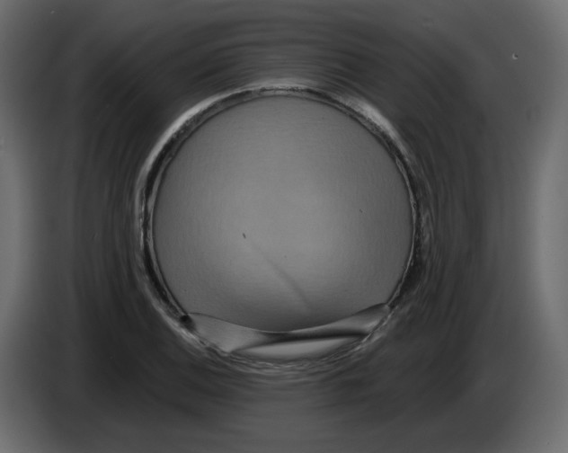 X0000084541124200703231708