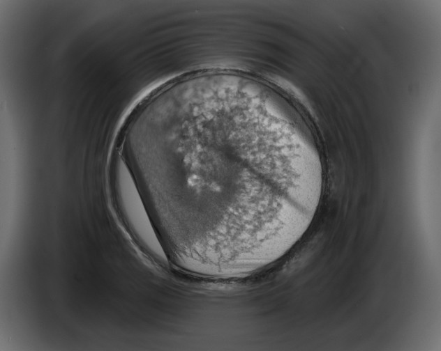 X0000084541125200703231708