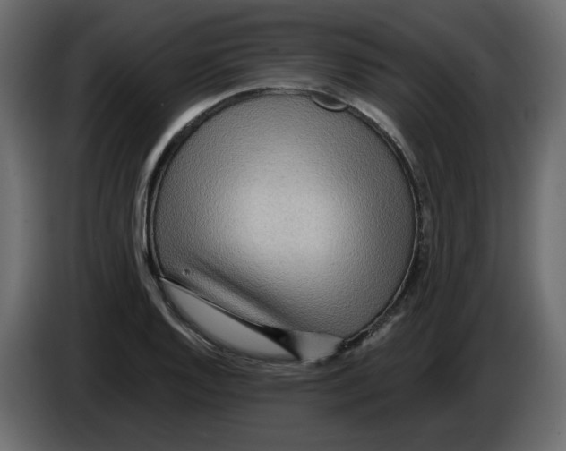 X0000084541128200703231708