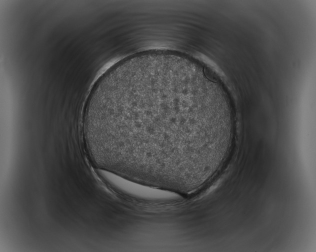 X0000084541129200703231708