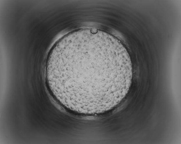 X0000084541130200703231708