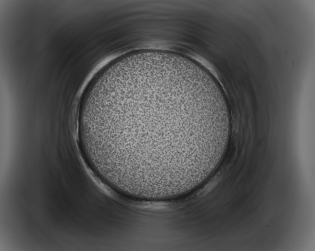 X0000084541131200703231708