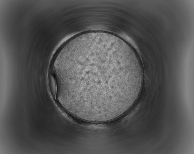 X0000084541133200703231708