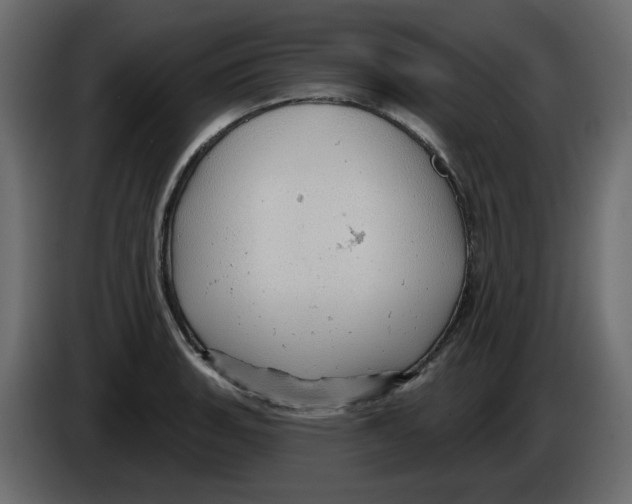 X0000084541135200703231708