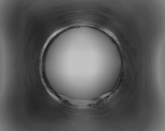 X0000084541136200703231708