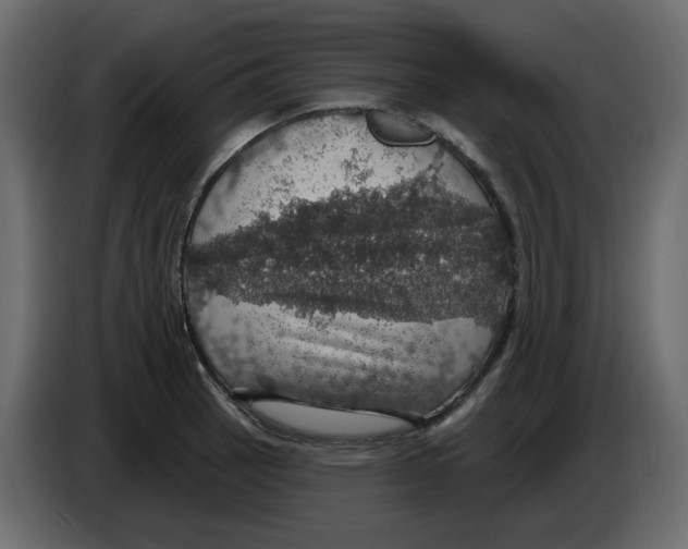 X0000084541137200703231708