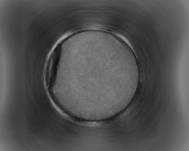 X0000084541139200703231708