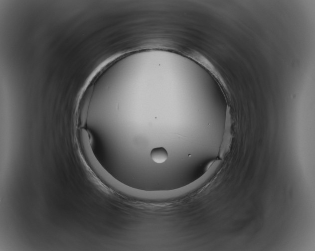 X0000084541140200703231708