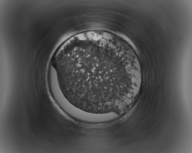 X0000084541142200703231708