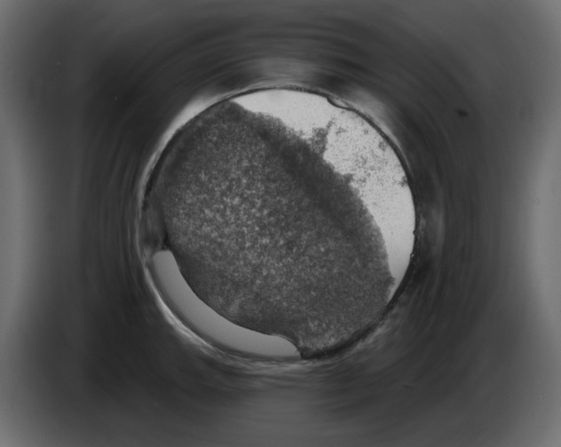 X0000084541143200703231708