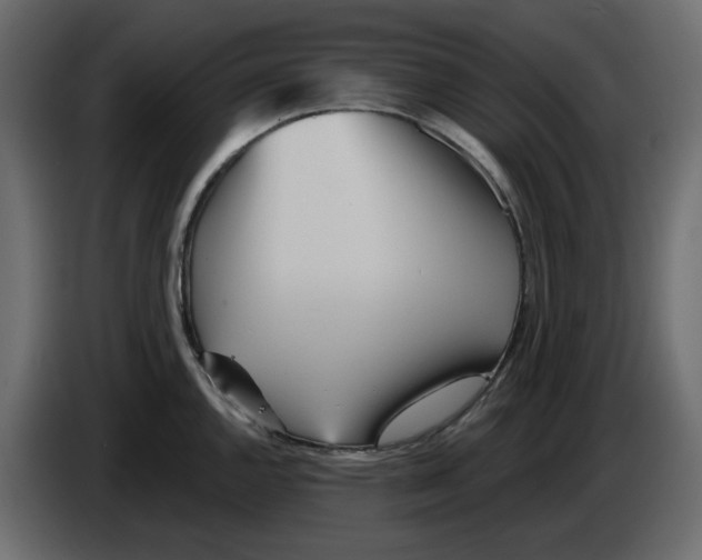 X0000084541144200703231708