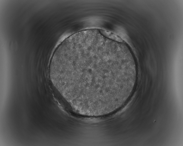 X0000084541145200703231708