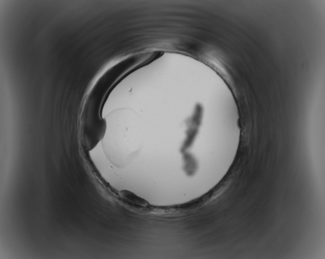 X0000084541146200703231708