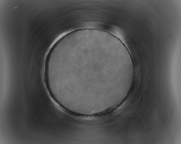 X0000084541147200703231708