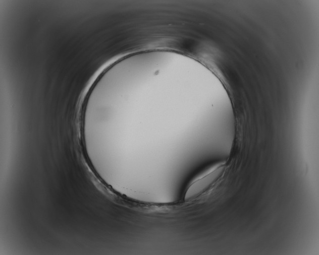 X0000084541148200703231708