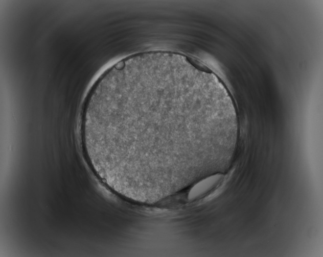 X0000084541149200703231708