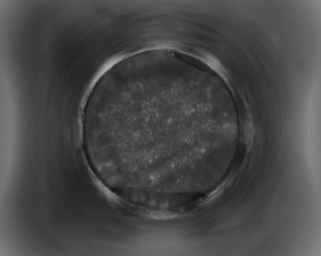 X0000084541151200703231709