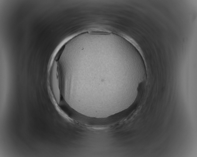 X0000084541152200703231709