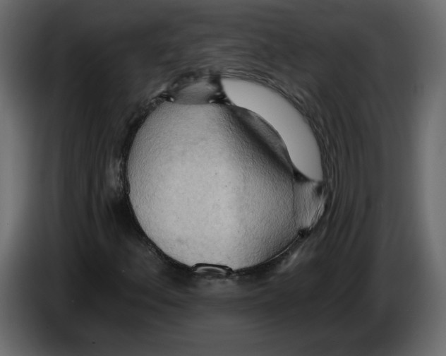 X0000084541156200703231708