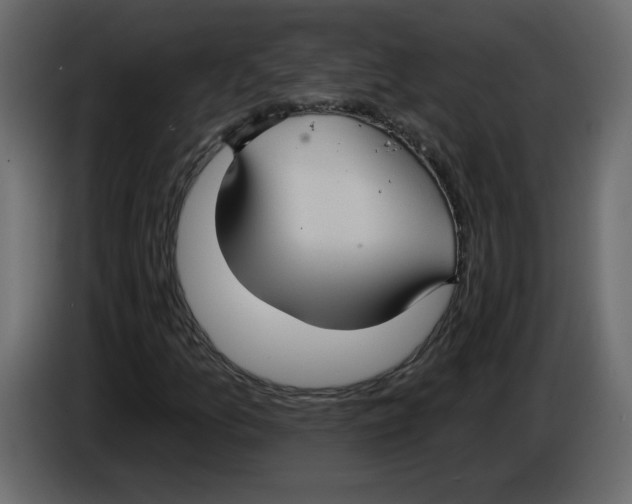 X0000084541157200703231708