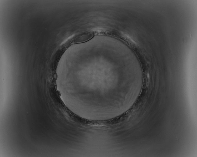 X0000084541158200703231708