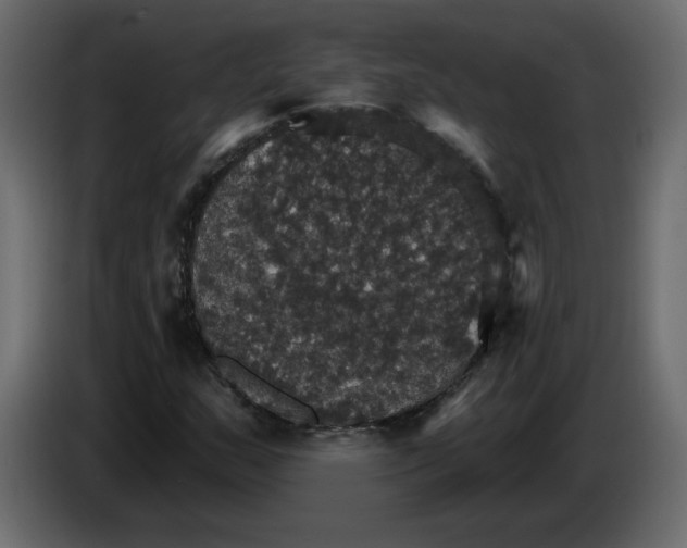 X0000084541159200703231708