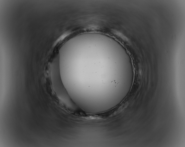 X0000084541160200703231708