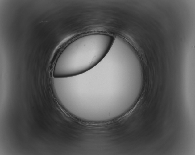 X0000084541164200703231708