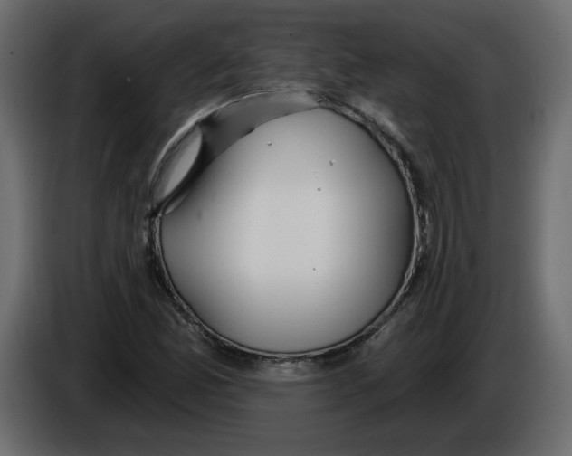 X0000084541165200703231708