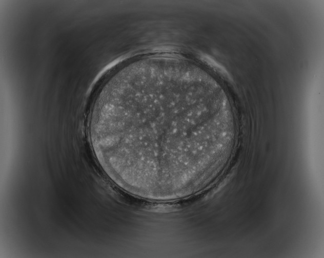 X0000084541166200703231708