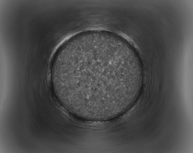 X0000084541167200703231708