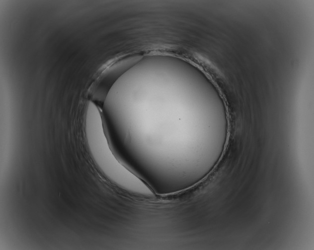 X0000084541169200703231708