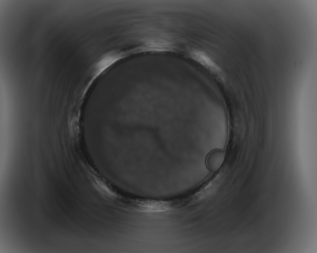 X0000084541170200703231708